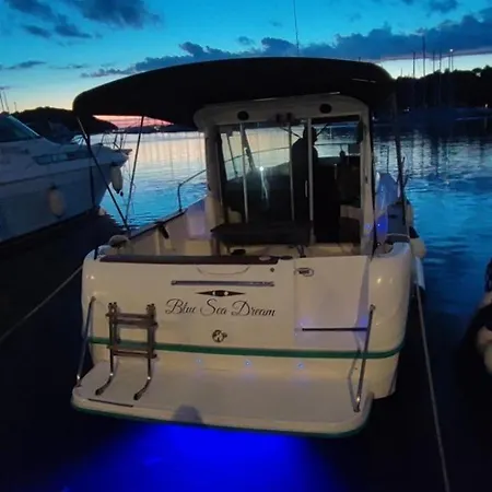 Blue Ses Dream